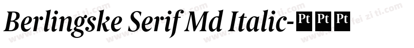 Berlingske Serif Md Italic字体转换